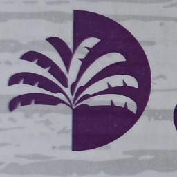 خرما کبکاب دیت