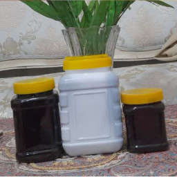 ارگانیک سرای انتظار